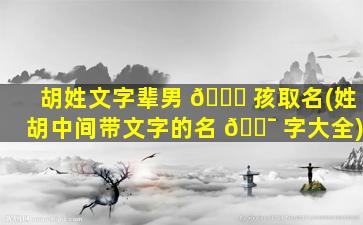 胡姓文字辈男 🕊 孩取名(姓胡中间带文字的名 🐯 字大全)